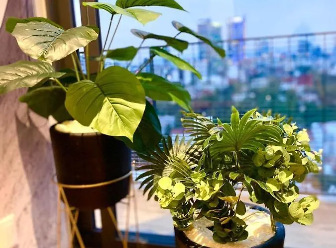 Penthouse Con La Mejor Vista De Cdmx, 6 Personas, Gym Y 2 Parkings Apartamento
